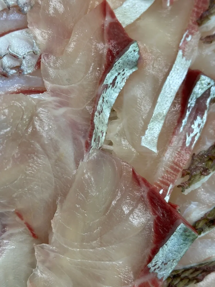 Red seabream sashimi