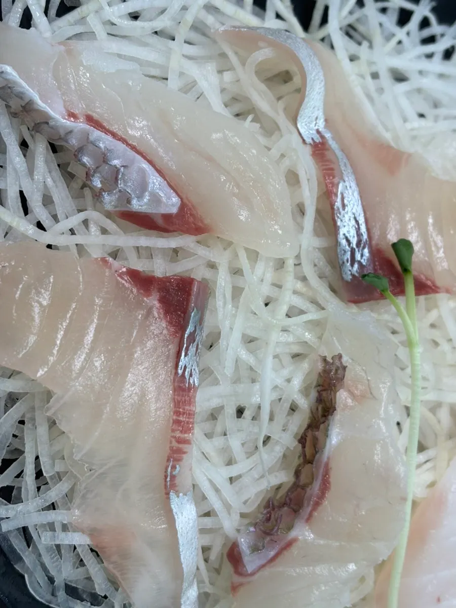 Red seabream sashimi takeaway platter