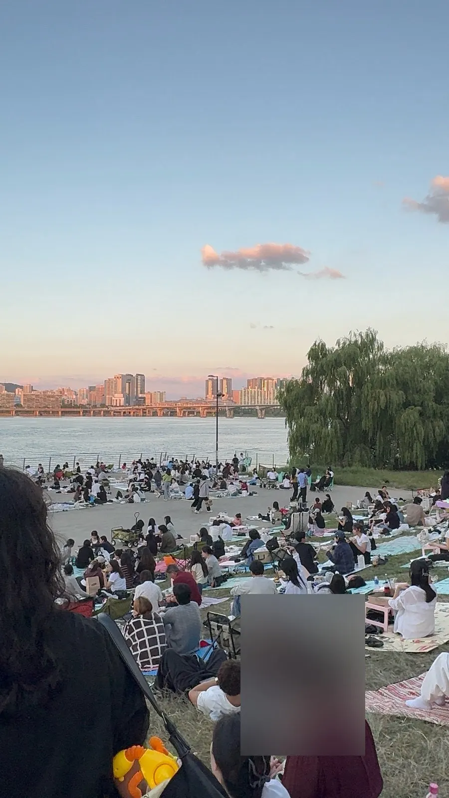 밤의 한강공원 야식 상차림