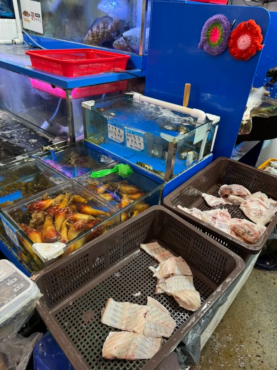 노량진수산시장 점포의 여러 어종 수조