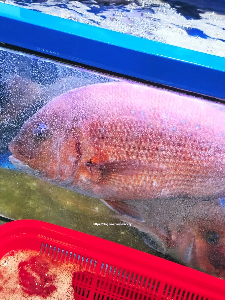 Live-fish sashimi available for takeaway and delivery