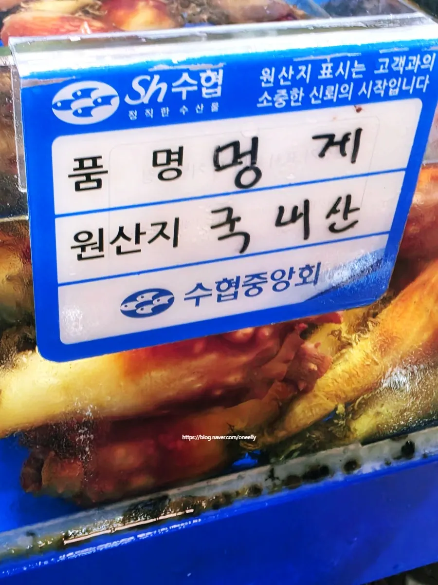 Abalone and sea squirt seafood selection