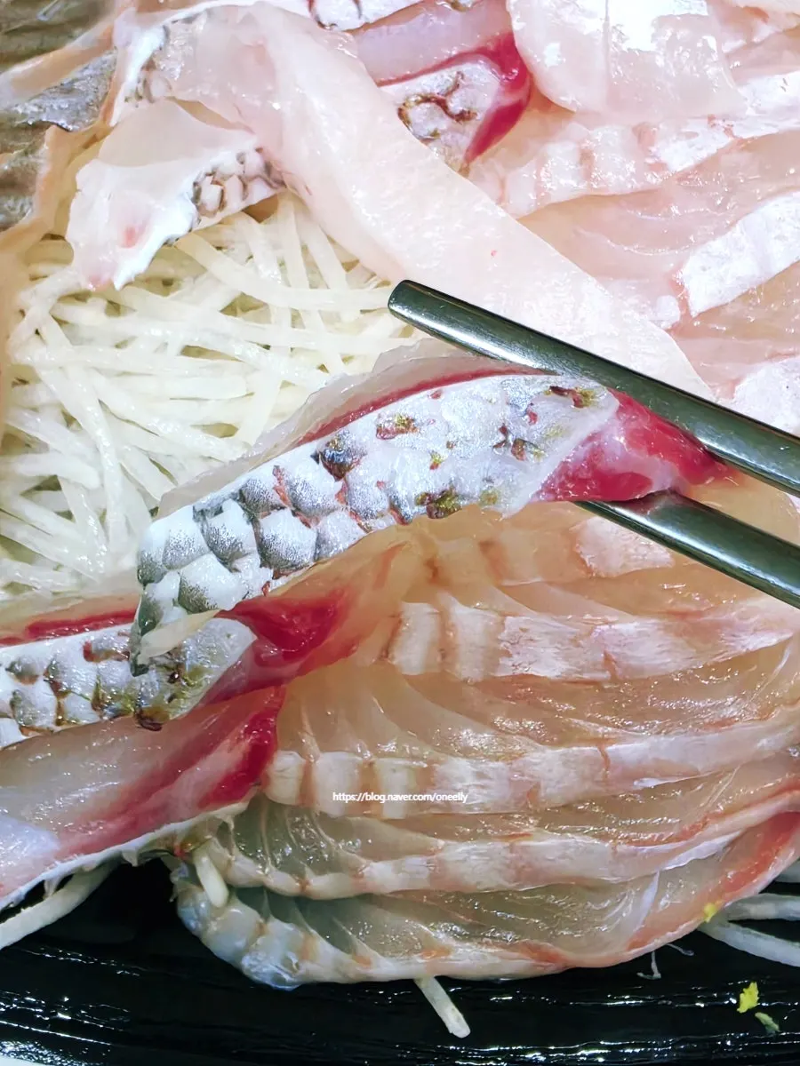 Sashimi with red sea bream and fin cuts