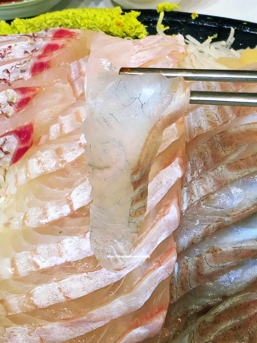 노량진수산시장 모둠회 매운탕까지 푸짐한 포장, 땅끝마을