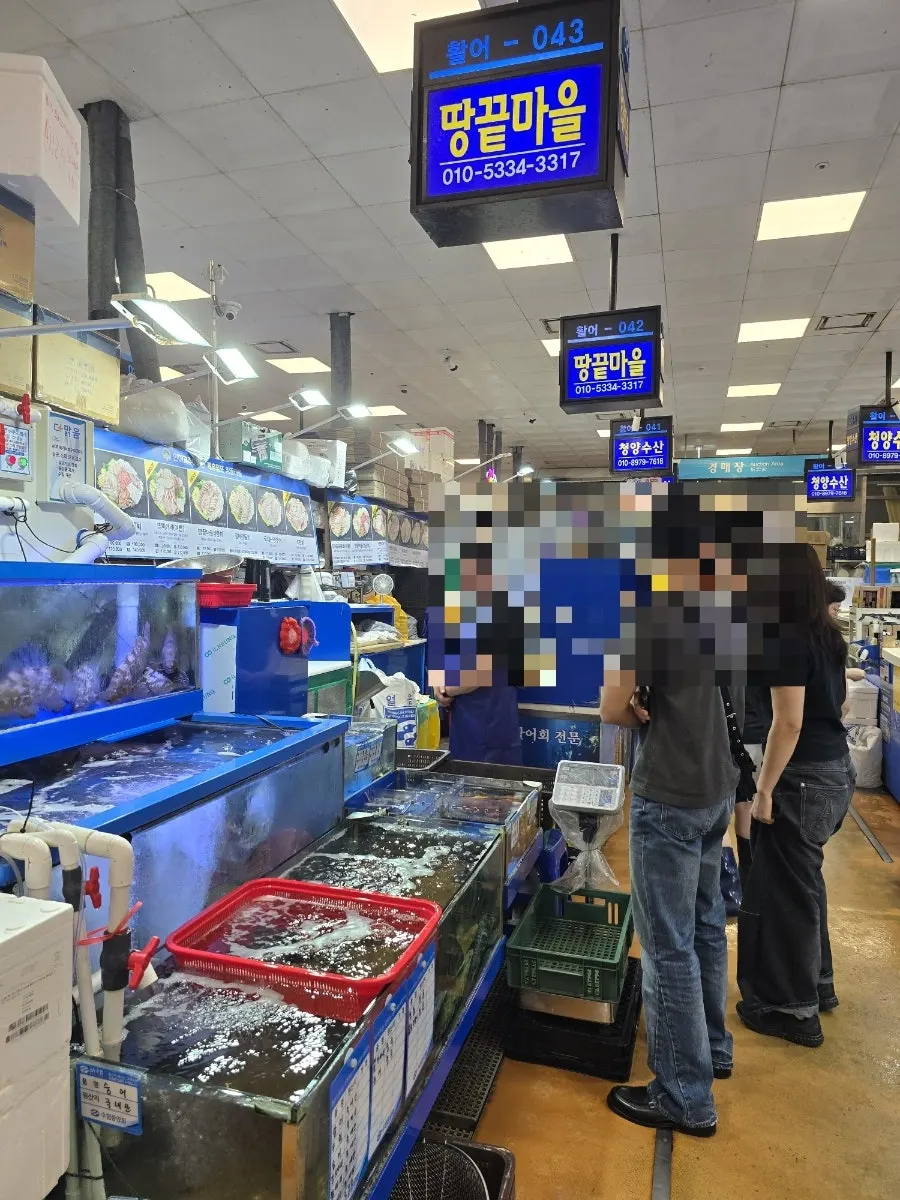 Fish tanks in front of Ttangkkeut Maeul