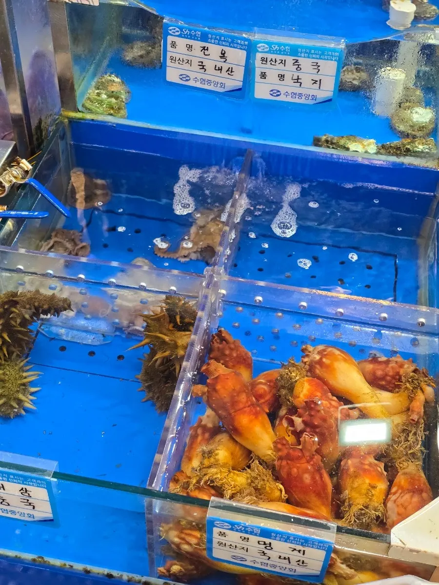 Fish sold at Ttangkkeut Maeul