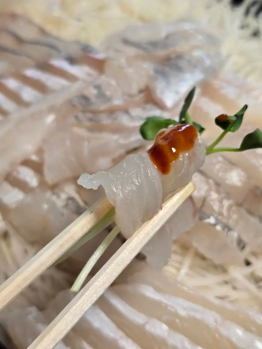 Thinly sliced flatfish and rockfish sashimi platter