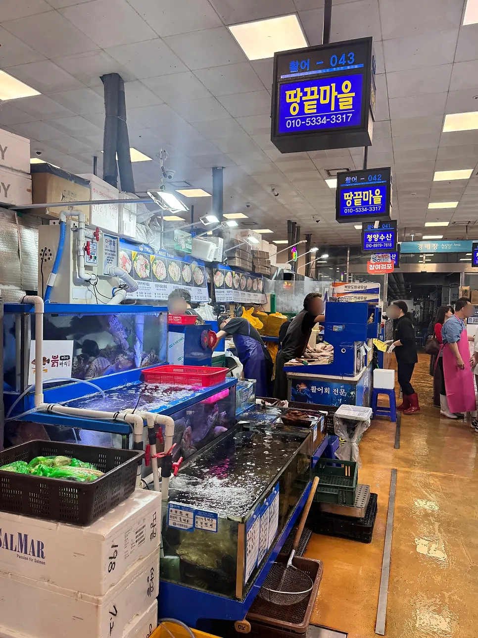 생선이 가득한 땅끝마을 수조