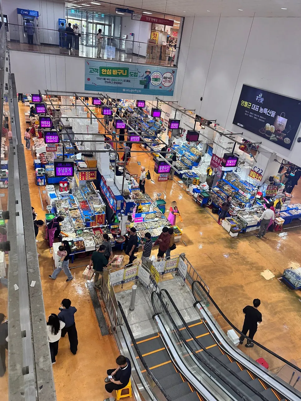 깔끔하게 관리된 횟집 수조