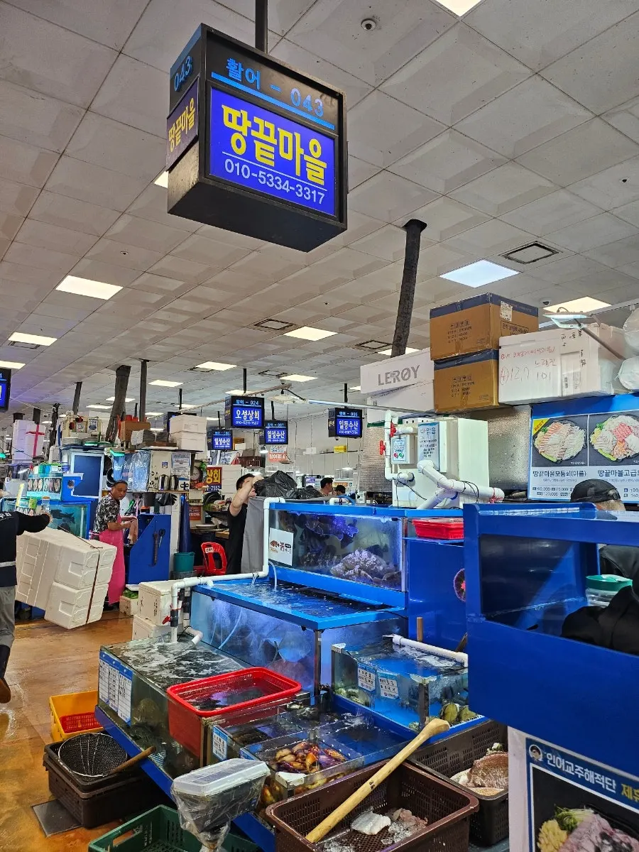 노량진수산시장 땅끝마을 포장 회 세로 사진
