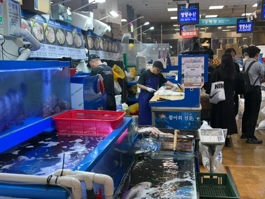 Clean fish tanks and live fish at Ttangkkeut Maeul