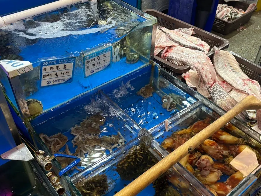 Prep counter where sashimi is cut at Ttangkkeut Maeul