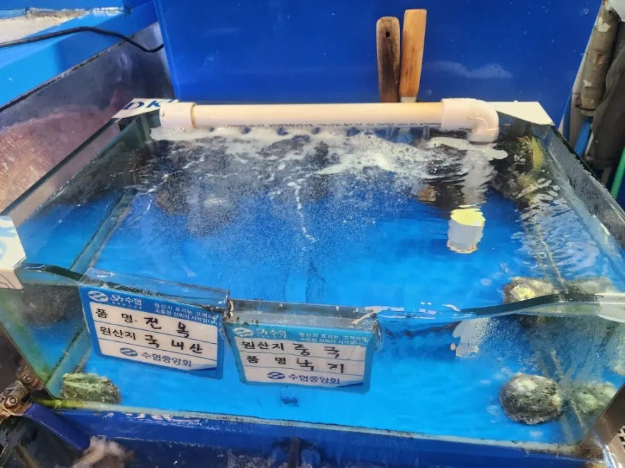 Ttangkkeut Maeul's tanks and displayed seafood