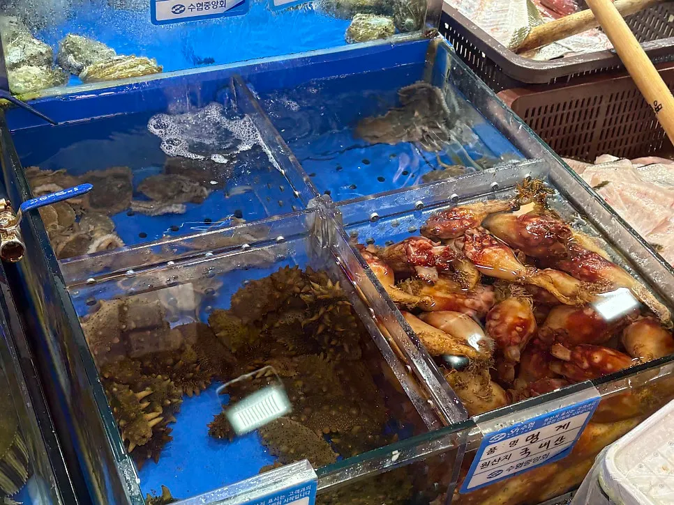 View of the live-fish sashimi section on the 1st floor of Noryangjin Fisheries Market