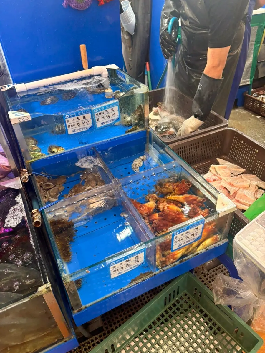 제철 횟감과 다양한 해산물이 놓인 매장 내부