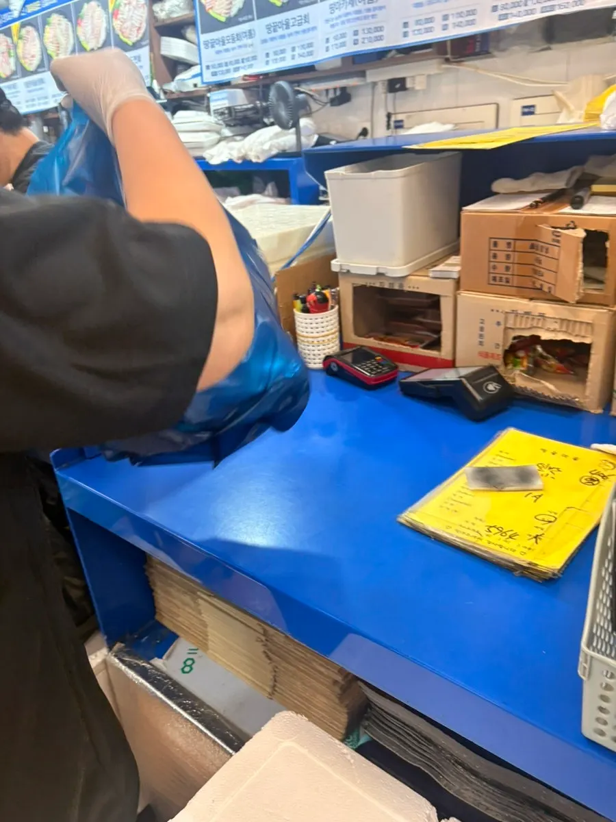 고급회 중 650g 손질 중인 횟감