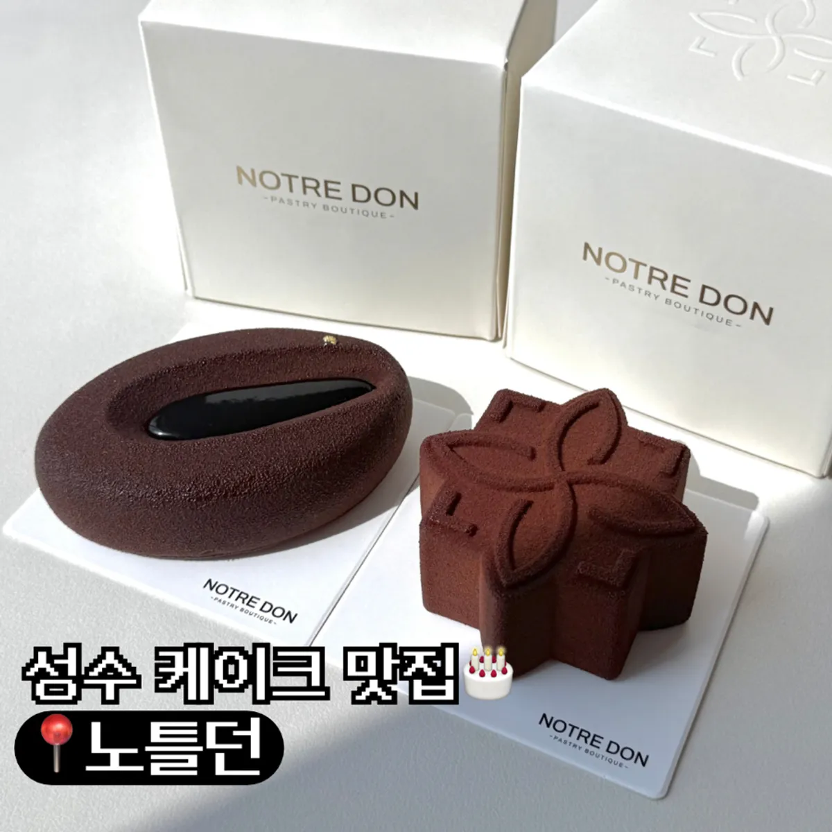 서울숲 카페 노틀던 대표 이미지