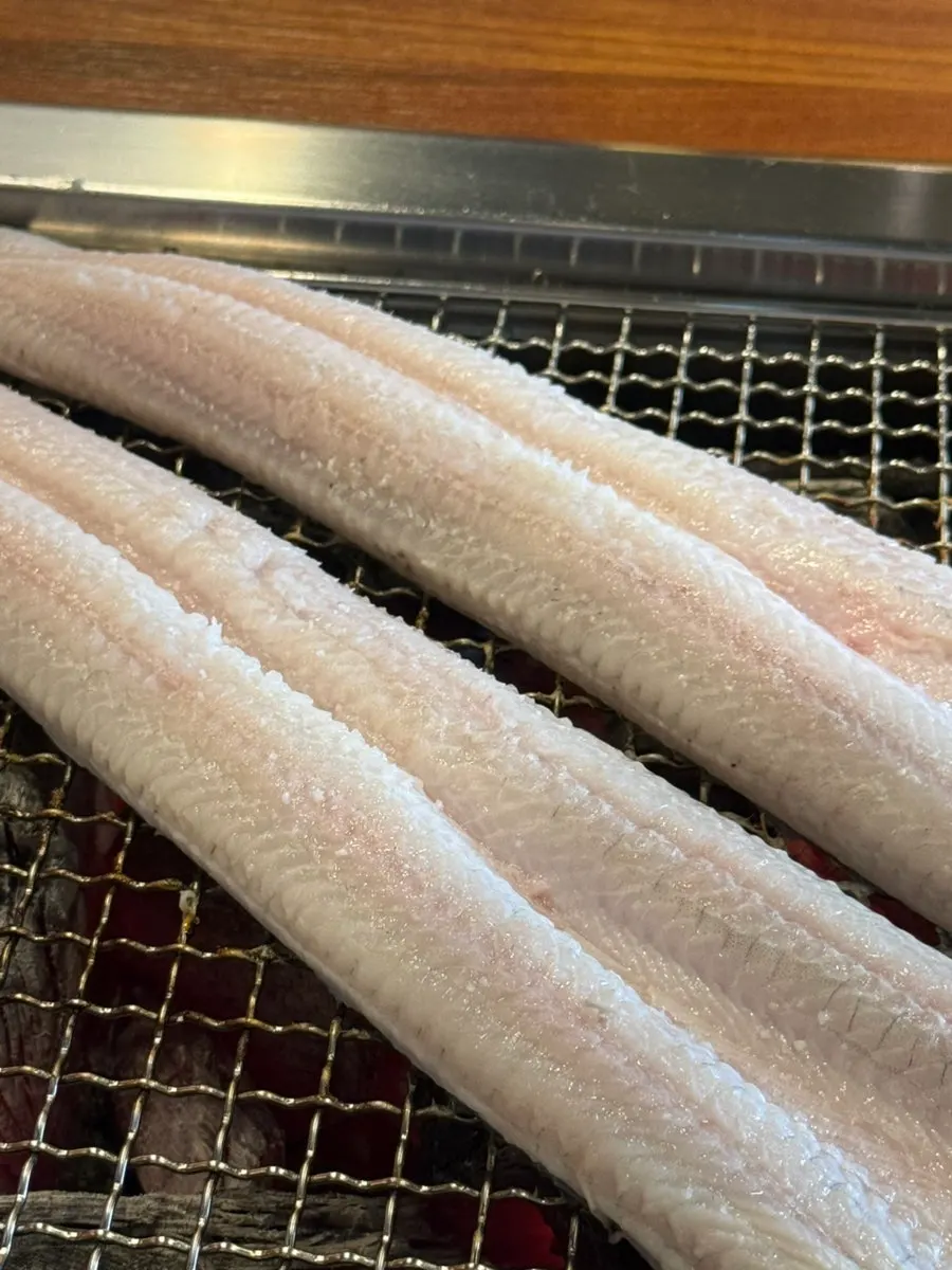 천일염을 뿌려 굽는 두툼한 자포니카 민물장어