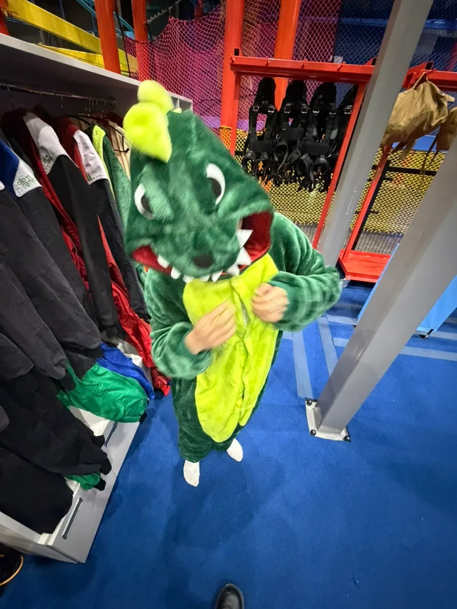 Animal costumes and slide activity