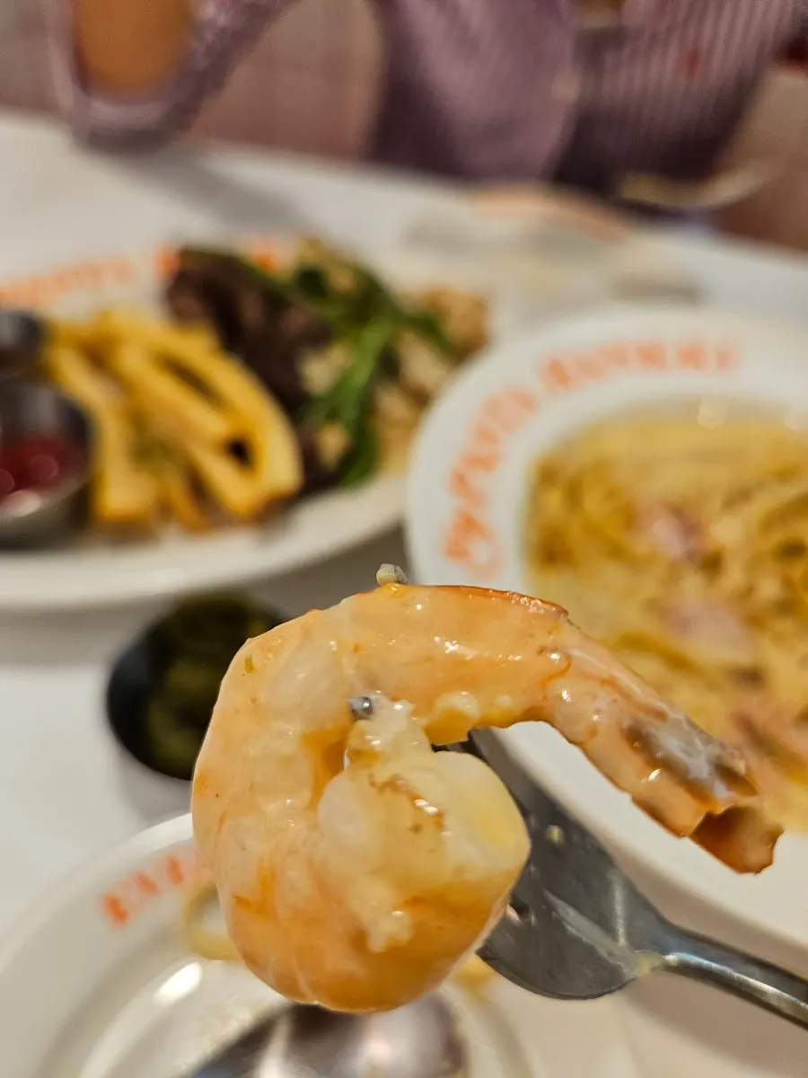 Fork twirled with Tuumba pasta and shrimp