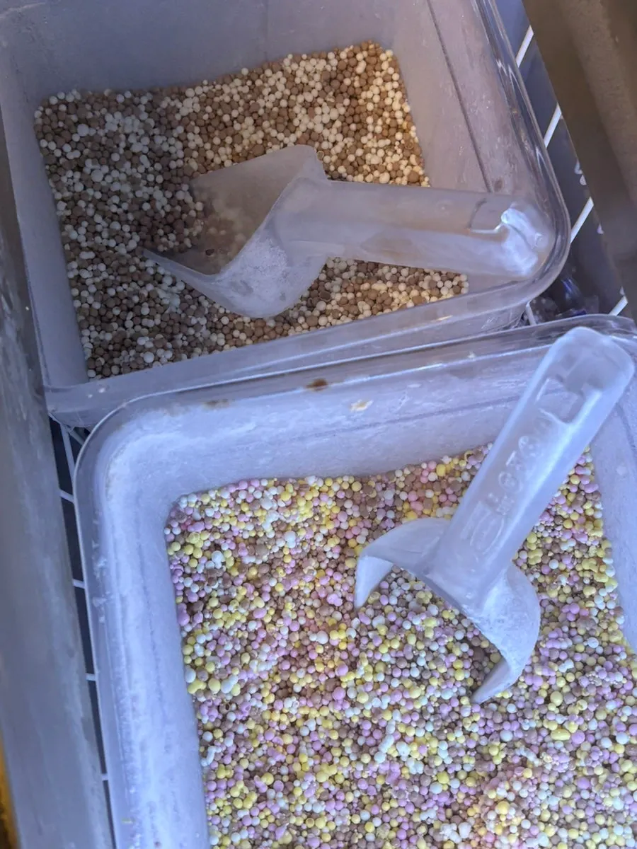 Counter with 4 flavors of marble ice cream