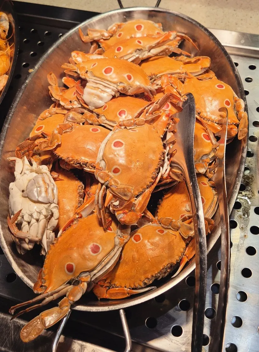 A plate of steamed oysters and steamed crab
