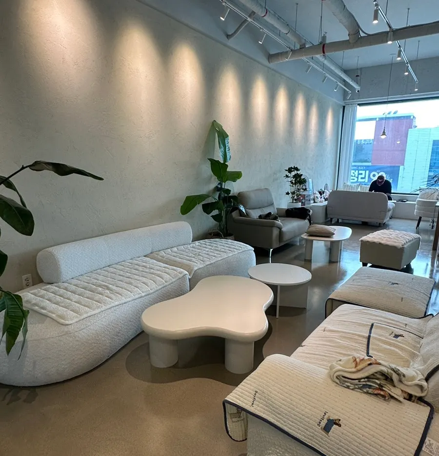 Ivory and wood-toned interior of Nyanya café
