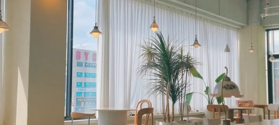 Corner of Nyanya café decorated with props