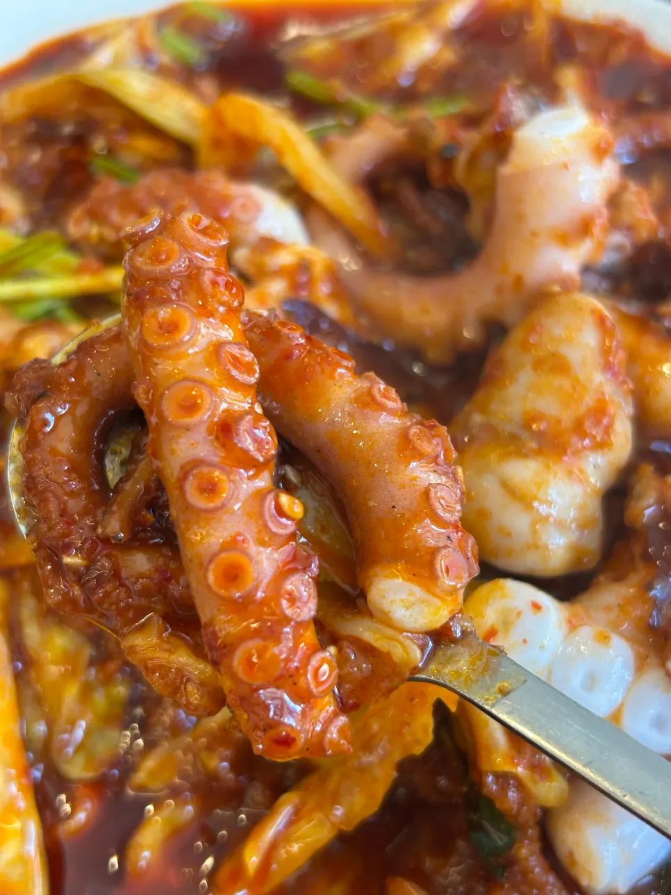 Close-up of the smoky fire-grilled octopus stir-fry