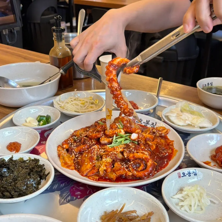 먹기 좋은 크기로 자른 낙지볶음