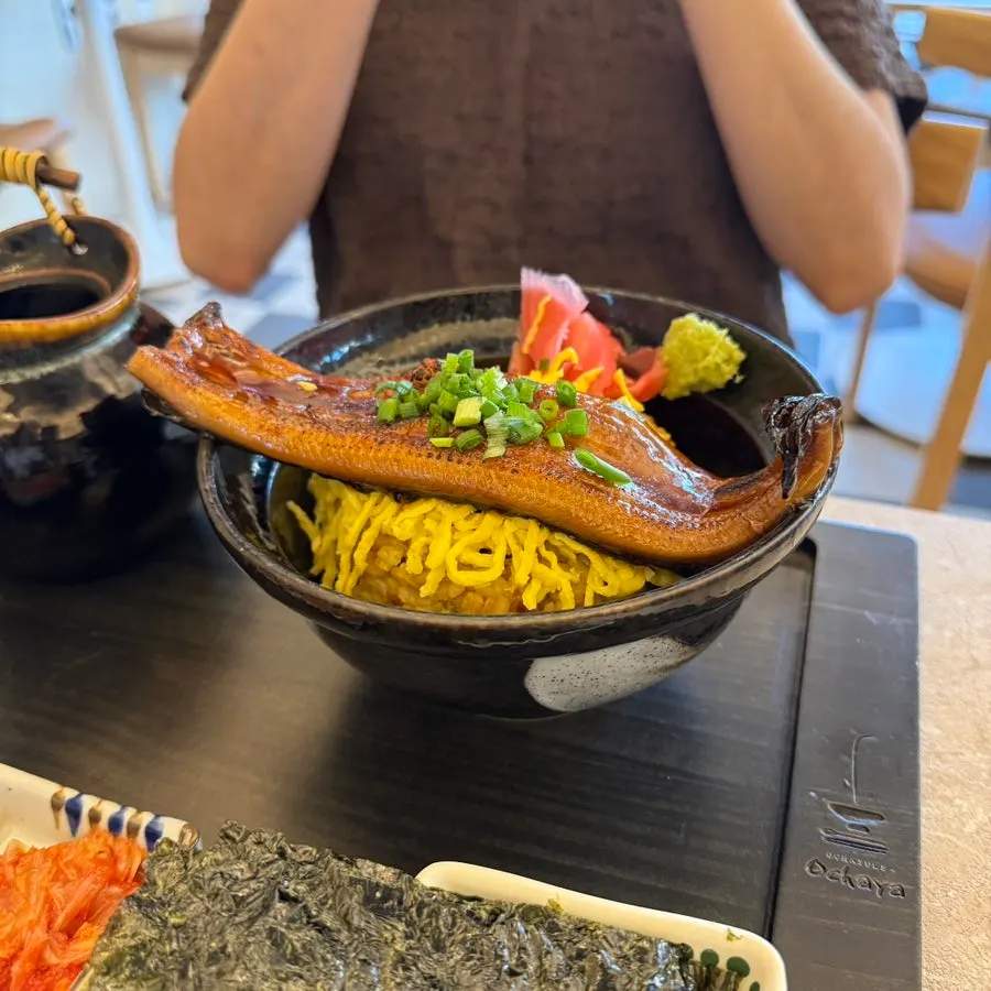 Unagi ochazuke topped with egg strips over nutrient rice