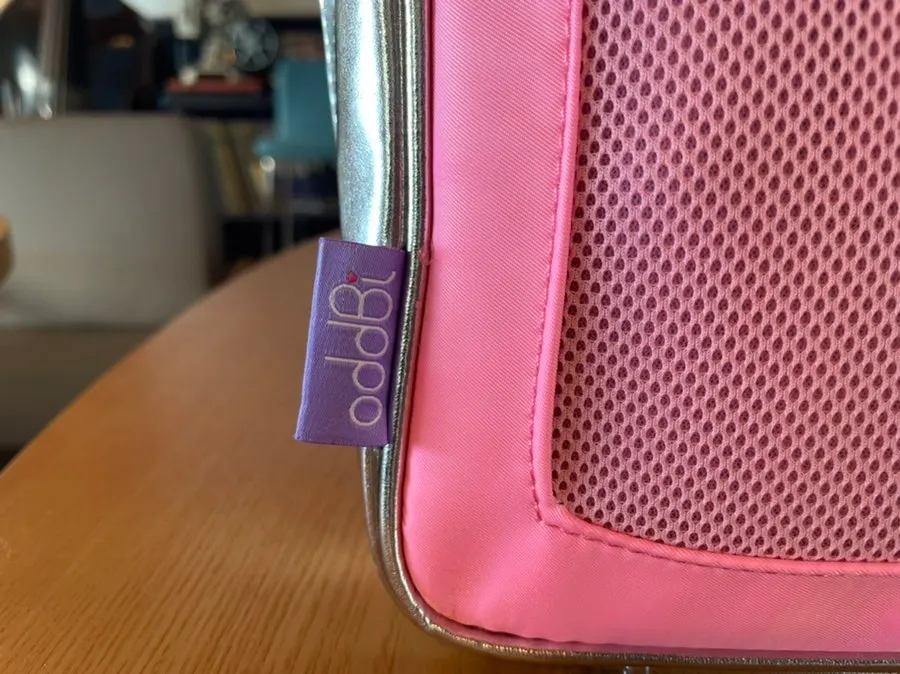 Everyday water-resistant wash bag in use