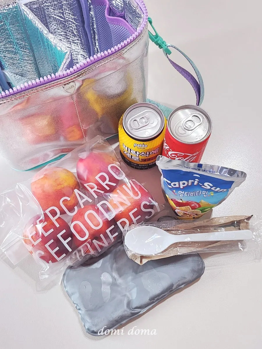 Cooler bag before picnic items are packed