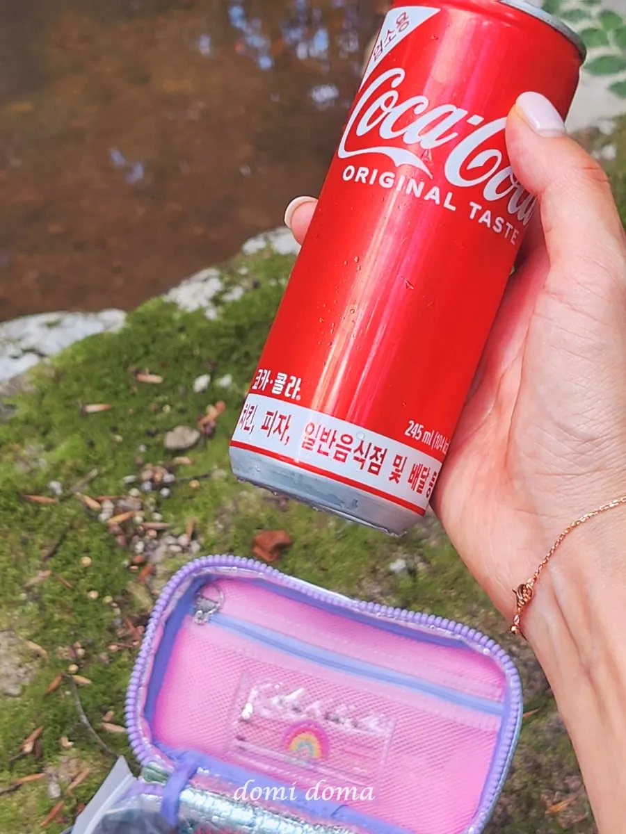 Cooler bag used on a creek picnic