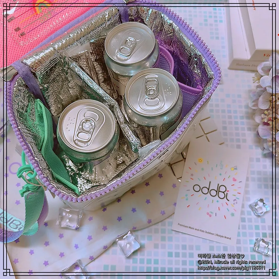 Cooler bag packed with beer and ice