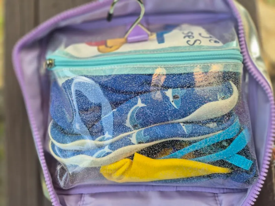Contents of a child’s swimsuit bag