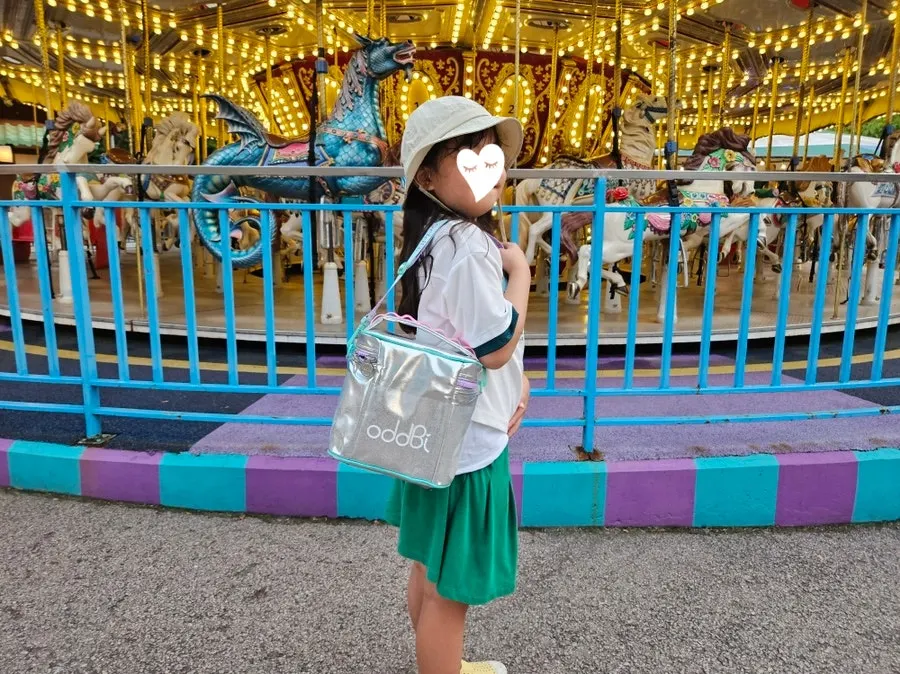 Insulated bag carried as a tote