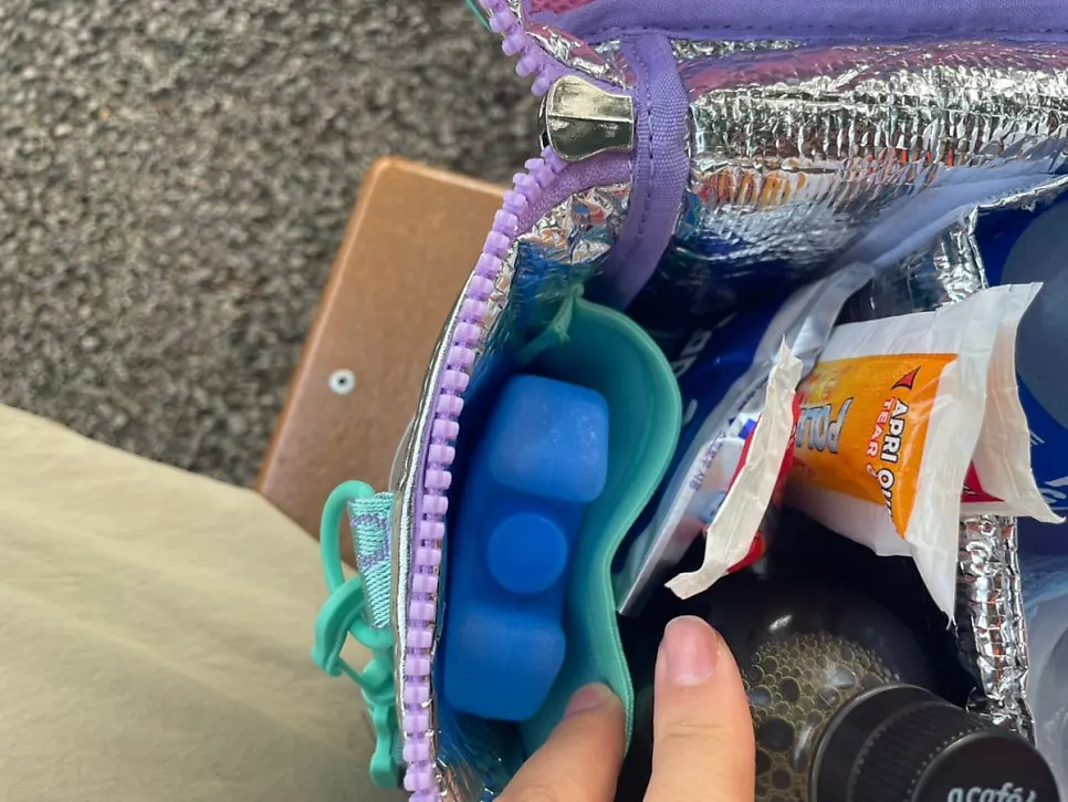 Insulated bag for a Seoul Land outing