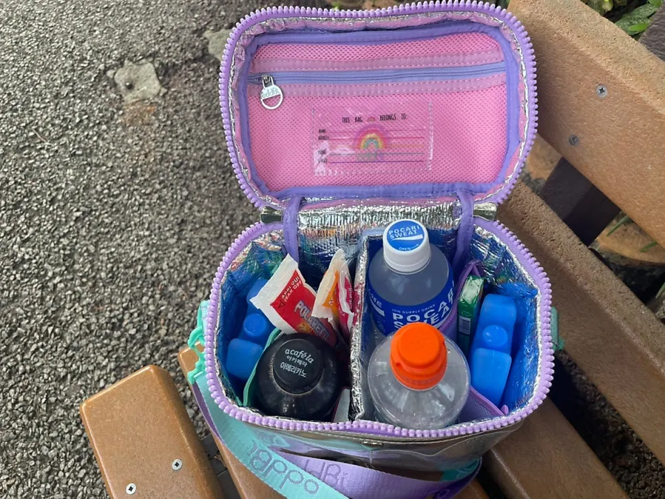 Insulated bag with a divider and pockets
