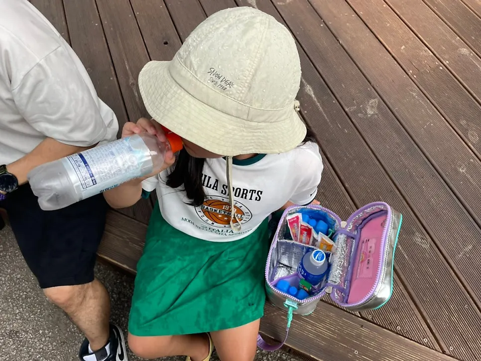 Picnic cooler bag used at an amusement park