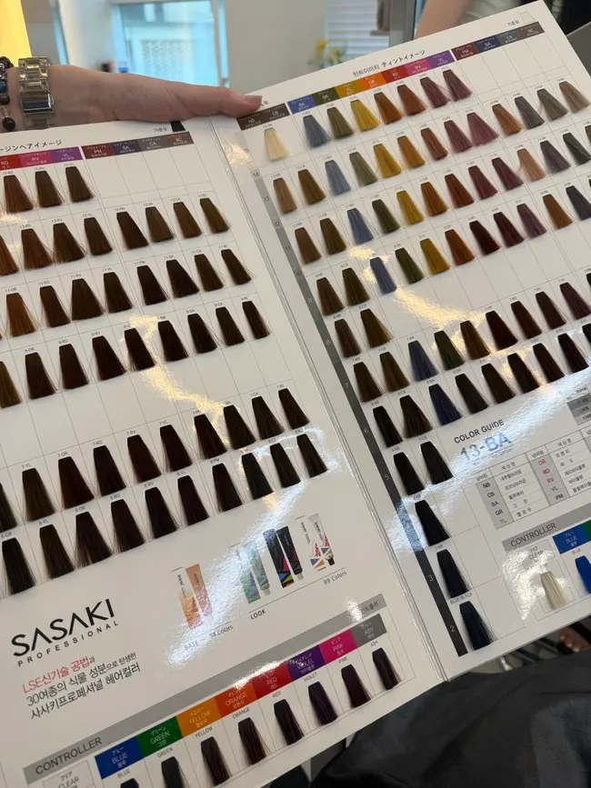 Color chart with level 9 ash brown selected