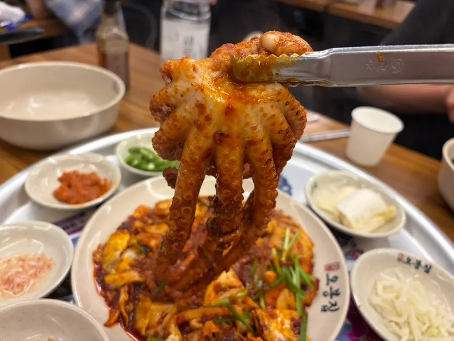 통째로 들어간 낙지 한 마리 클로즈업