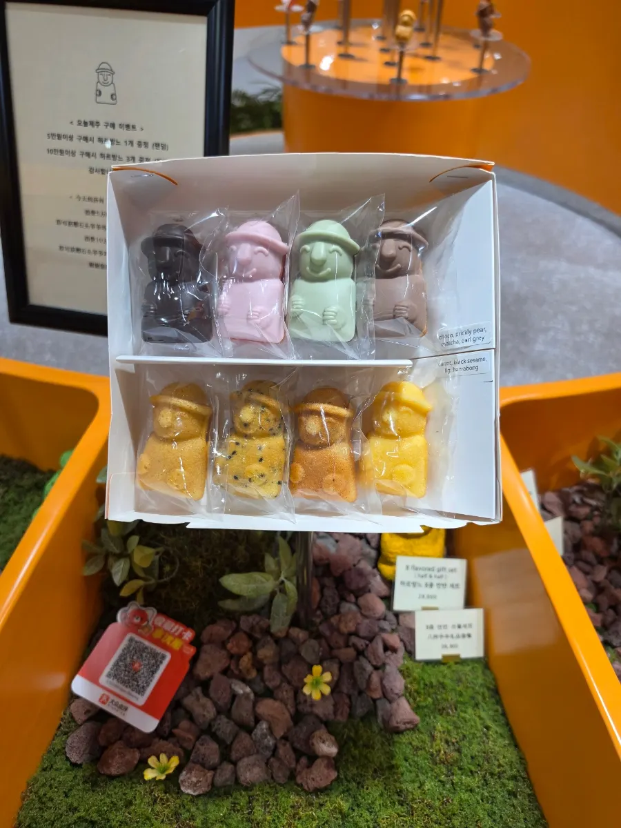 Harubangne chocolate set coated in chocolate