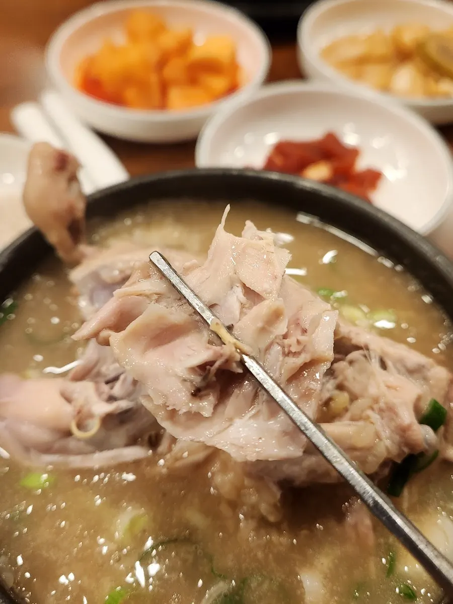 Tender chicken meat picked apart with chopsticks