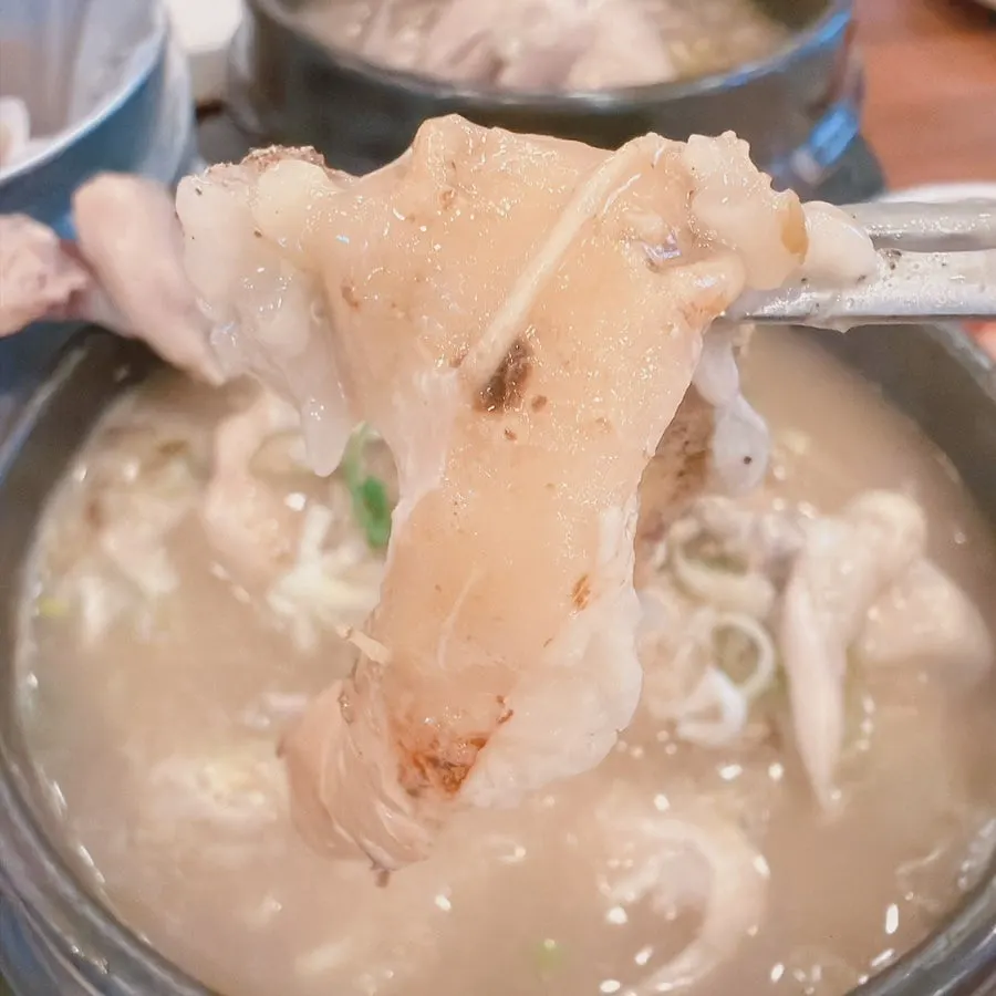 삼계탕 국물을 떠올린 숟가락