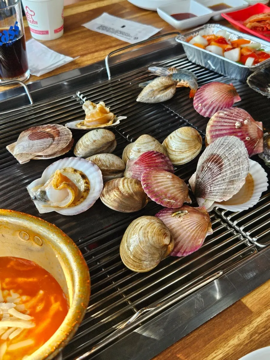 Scallops and clams grilling on the plate
