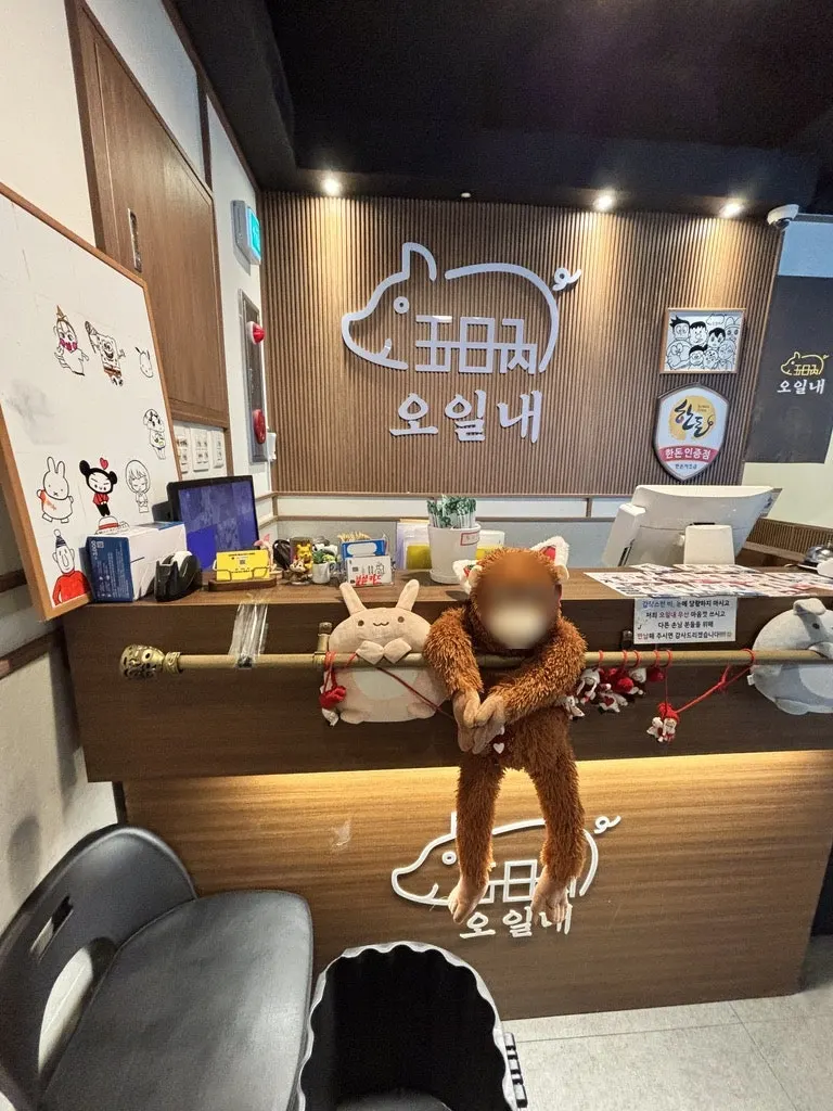 천장 돼지 캐릭터 조형물과 한돈인증 배지