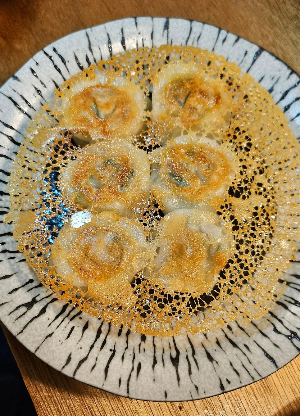 Freshly grilled hanip gyoza