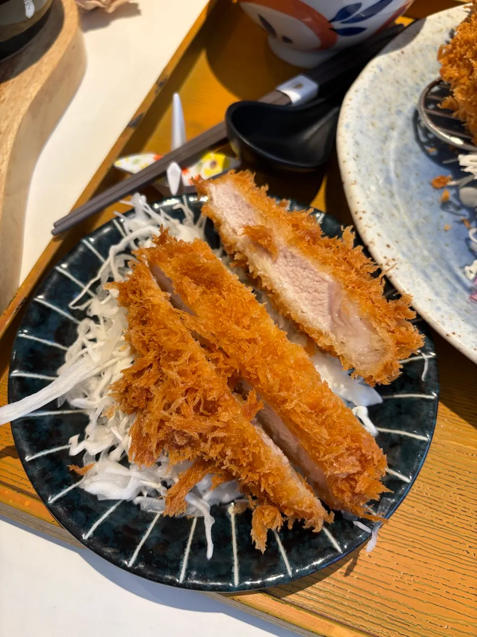 Cross-section of melting cheese katsu
