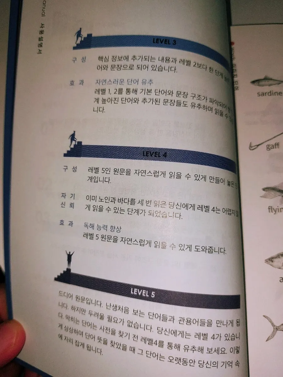 1~3레벨 단계영어 학습 여정